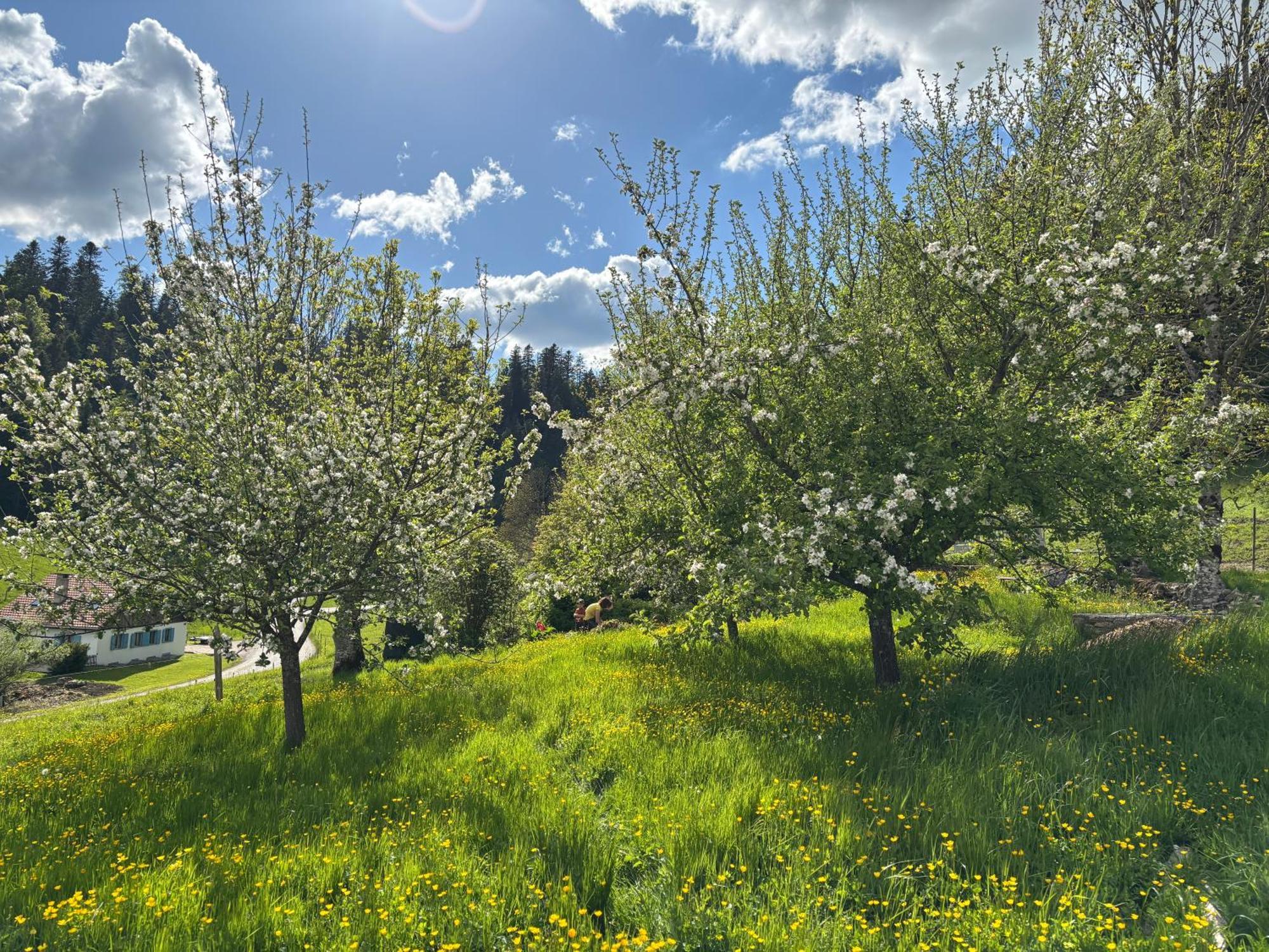 Relais De La Baume Leilighet Le Locle Eksteriør bilde