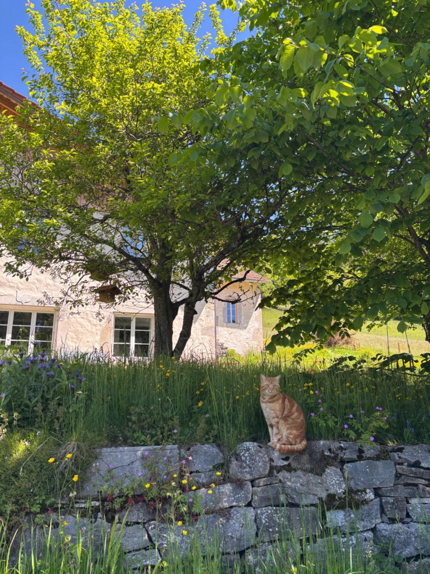 Relais De La Baume Leilighet Le Locle Eksteriør bilde