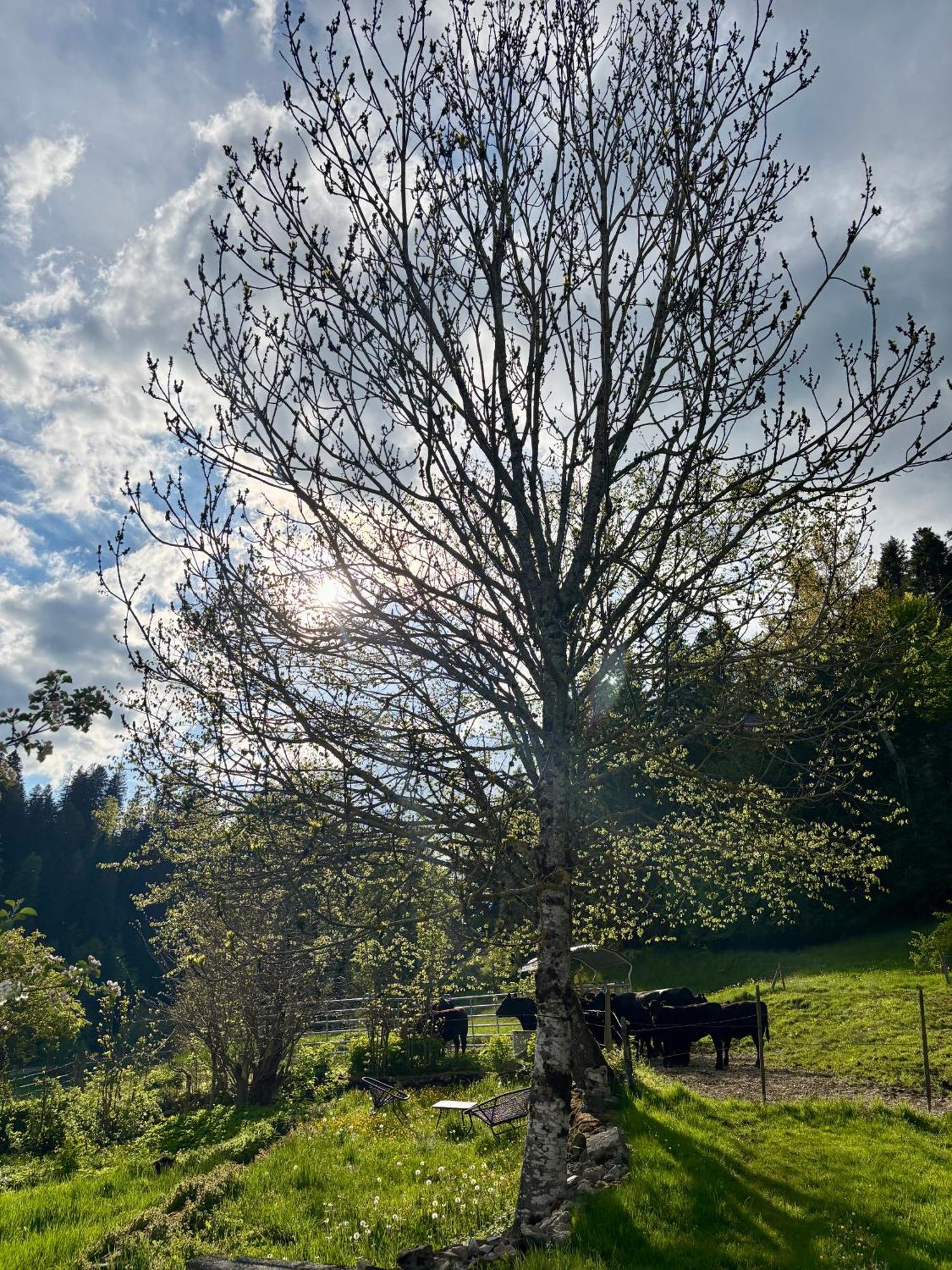 Relais De La Baume Leilighet Le Locle Eksteriør bilde