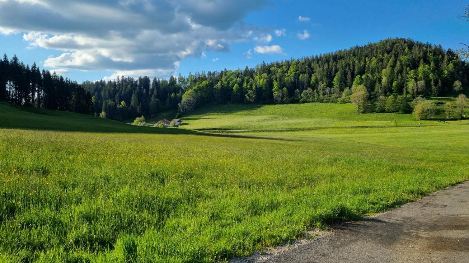 Relais De La Baume Leilighet Le Locle Eksteriør bilde