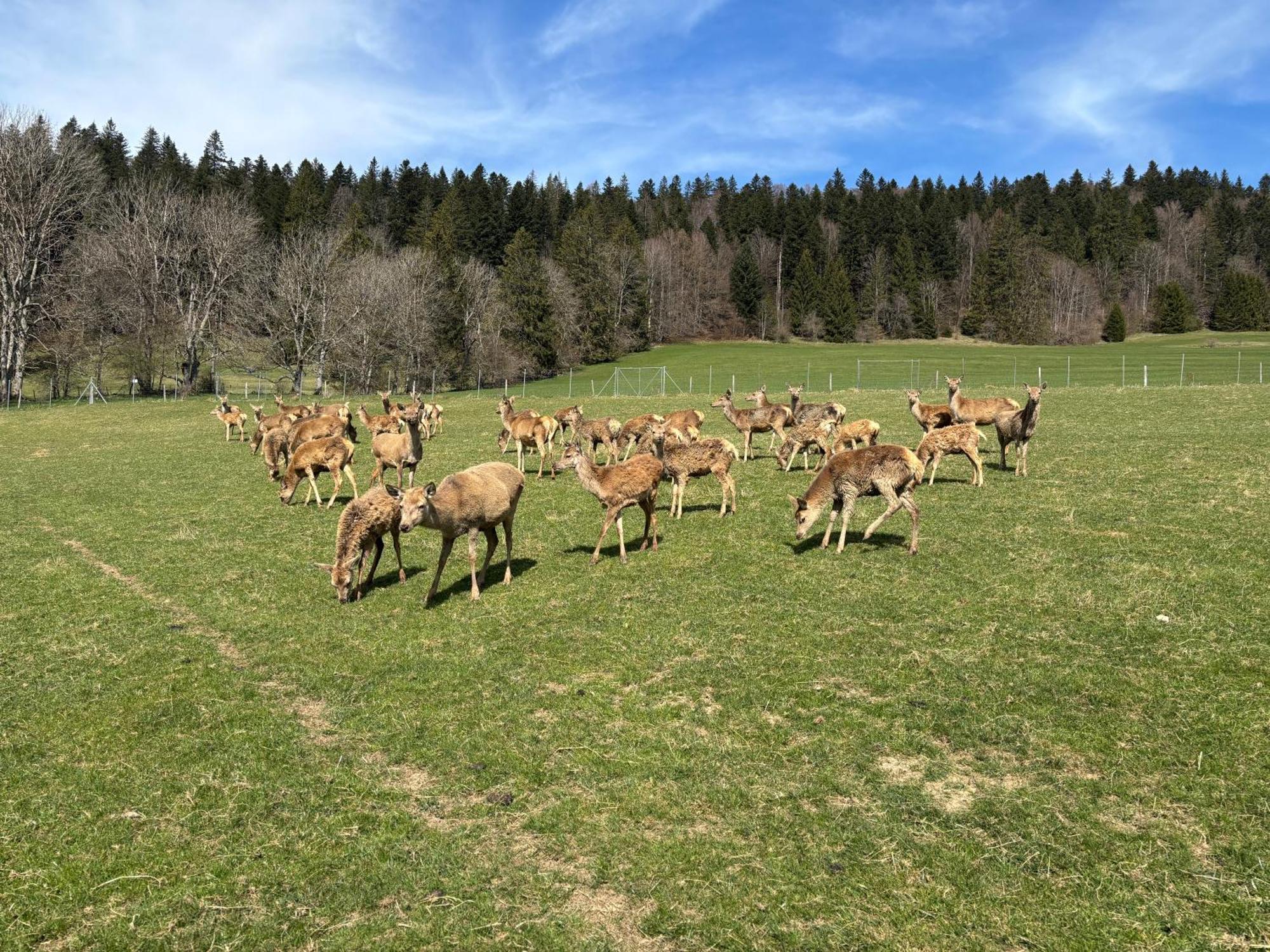 Relais De La Baume Leilighet Le Locle Eksteriør bilde