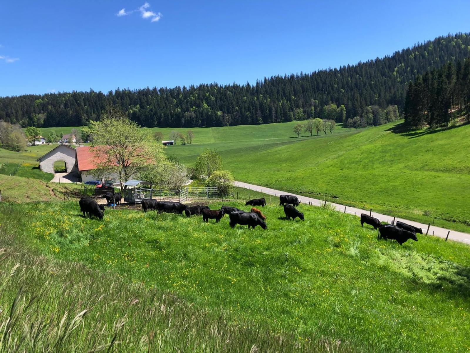 Relais De La Baume Leilighet Le Locle Eksteriør bilde